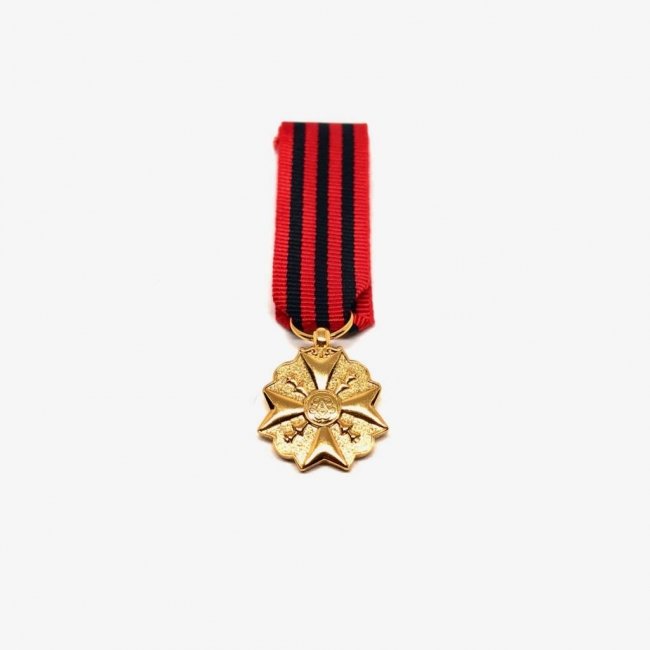 Médaille Civique 1ière Classe - réduction